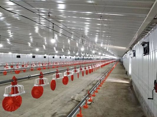 Gegalvaniseerde staalconstructie kippenhuis kippenhok Prefab boerderij gebouwen op maat