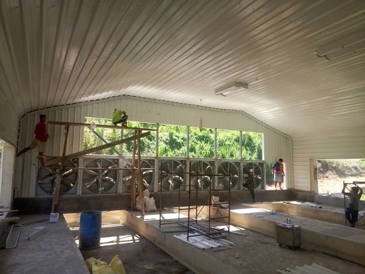 Voorgefabriceerde lichtstaalconstructie pluimveehuis gegalvaniseerd coating staalframe kippenhok
