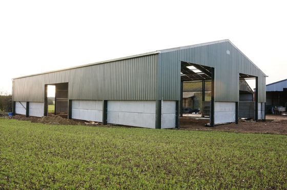 Industrieel geprefabriceerd staalconstructie magazijnbouw landbouwbedrijf schuren gebouw