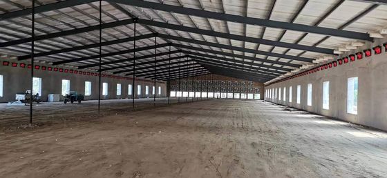 Voorgefabriceerde staalconstructie Vogelhuis Q235B Q355B Staalkofferhuis