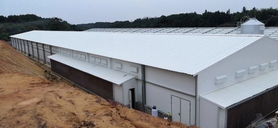 Op maat gemaakte boerderij staalstructuur pluimveeschuren Q235B Q355B gegalvaniseerd staalplaat