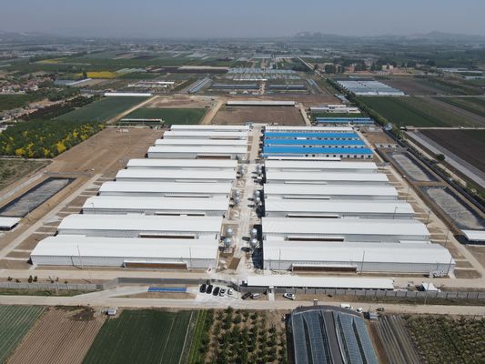 Industriële staalbouwgebouwen Prefabrieke staal pluimveehuis op maat