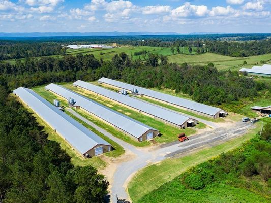 Voorgefabriceerde staalconstructie Kippenhuis Broilerboerderij Staalbouwbouw