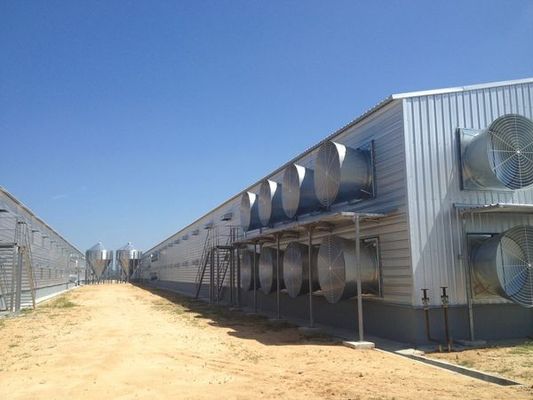 Hoogbouw van staalgebouwen voor pluimveehuisbouten verbinding en aanpasbaar ontwerp