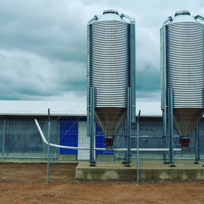 Hoogstabiel geprefabriceerd licht staalconstructie Boerderij schuren Vogelhuis Gebouw