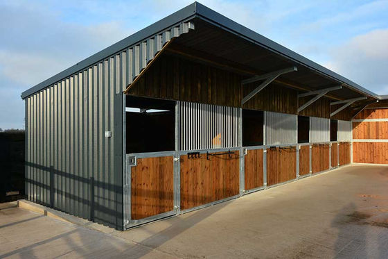 Prefabrieke staalconstructie Staalpaard Stabielgebouw