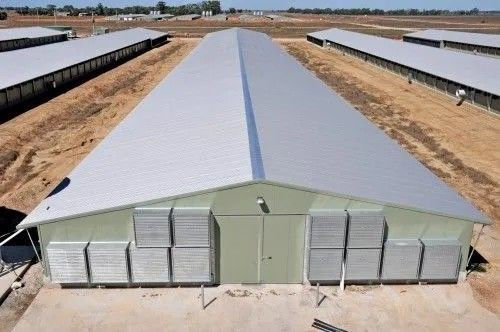 Modulaire staalconstructie Kippenhuis Broilerhuis Boerderij Schuur Vleesbouw Geprefabriceerde magazijngebouwen