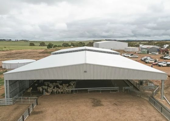 Open muur ontworpen Duur span hoogbouw geprefabriceerd staal hal magazijn schuur