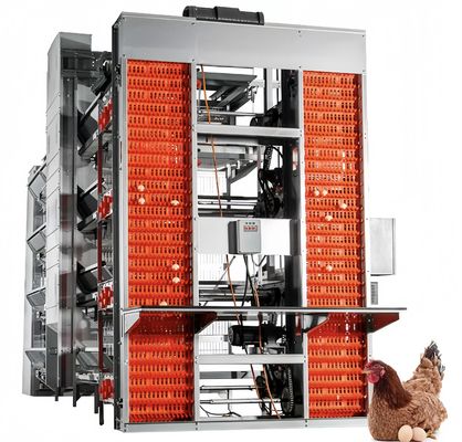 A-type batterijlaag kippenkooi automatische kippenpluimveehouderij apparatuur